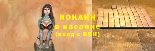 шишки Медвежьегорск