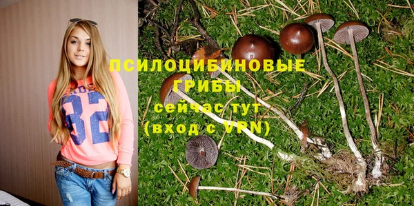 герыч Надым