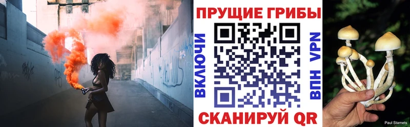 Галлюциногенные грибы Cubensis  закладка  Кизилюрт 