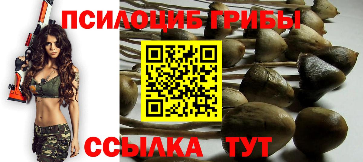 Галлюциногенные грибы мицелий  Галлюциногенные грибы Psilocybe  Кизилюрт  где купить наркоту  Вход с VPN 