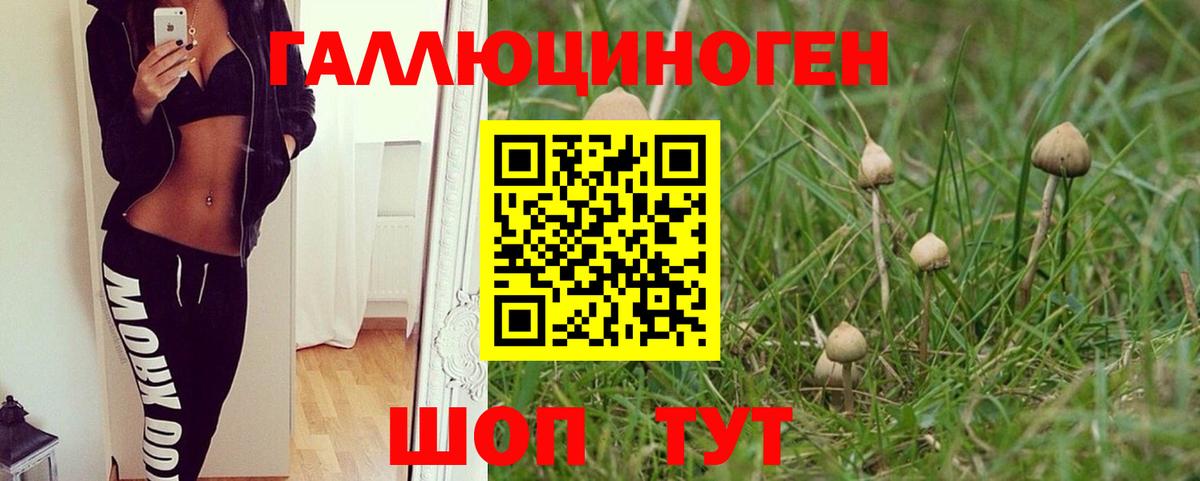 Псилоцибиновые грибы мухоморы  Галлюциногенные грибы MAGIC MUSHROOMS  Кизилюрт 